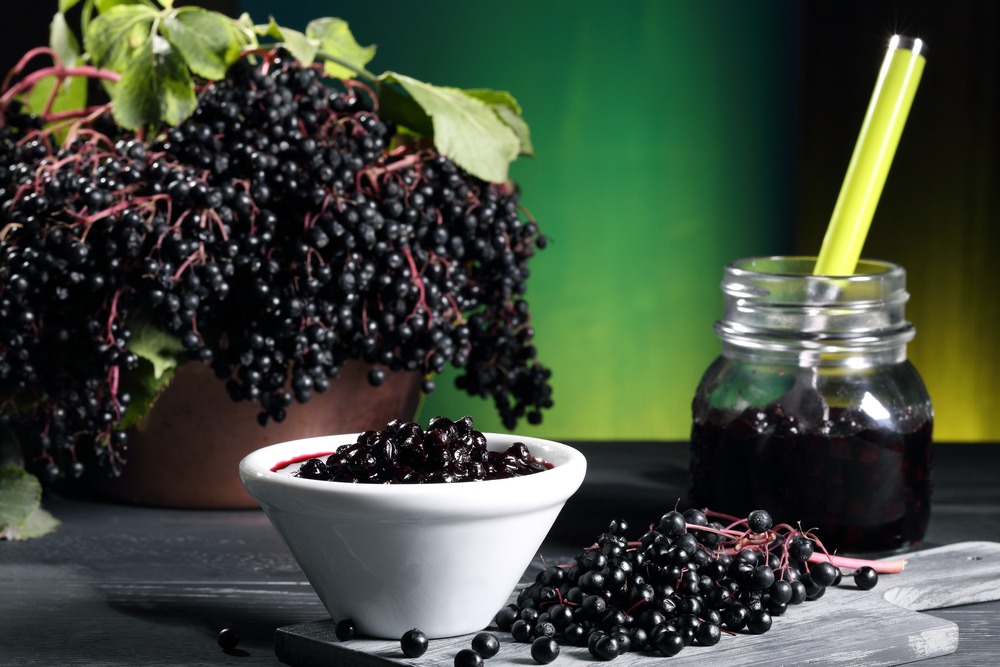 Elderberry Supplements