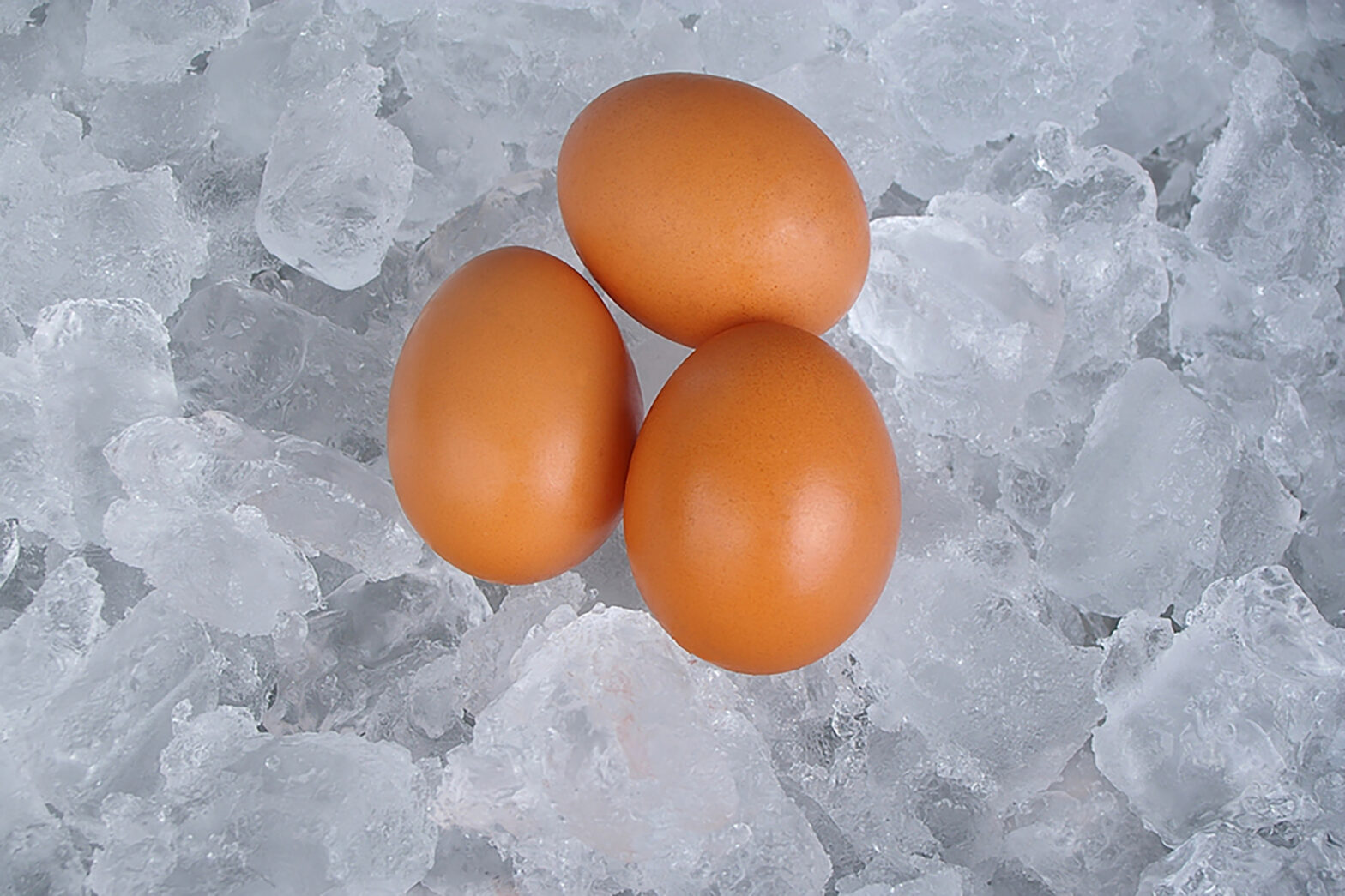 Frozen Egg Market1