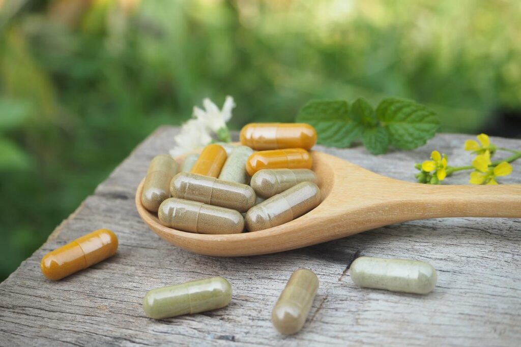 Gut Health Supplement Market 