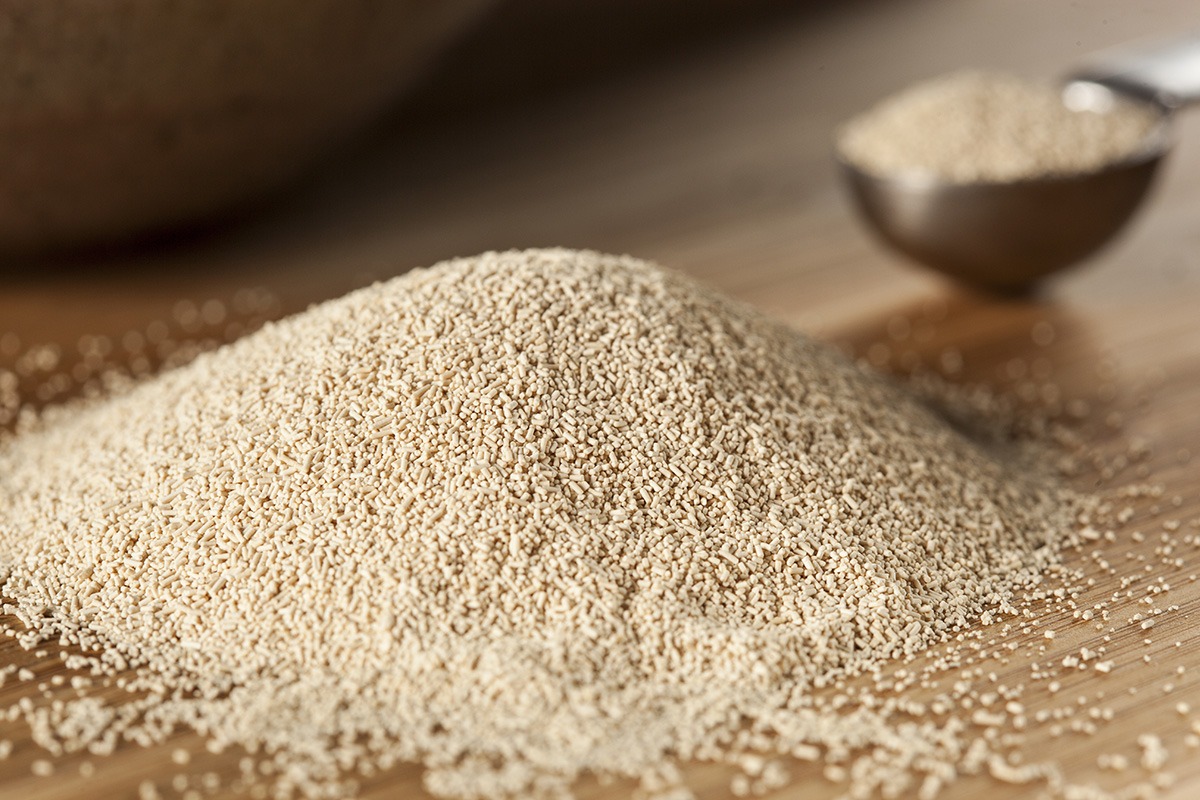 Instant Dry Yeast Market