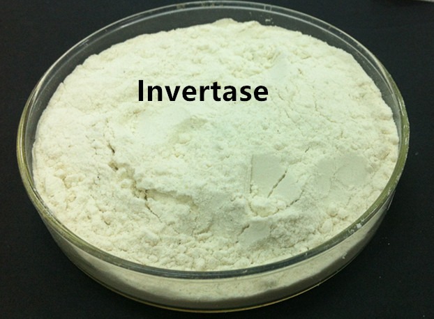 Invertase Market