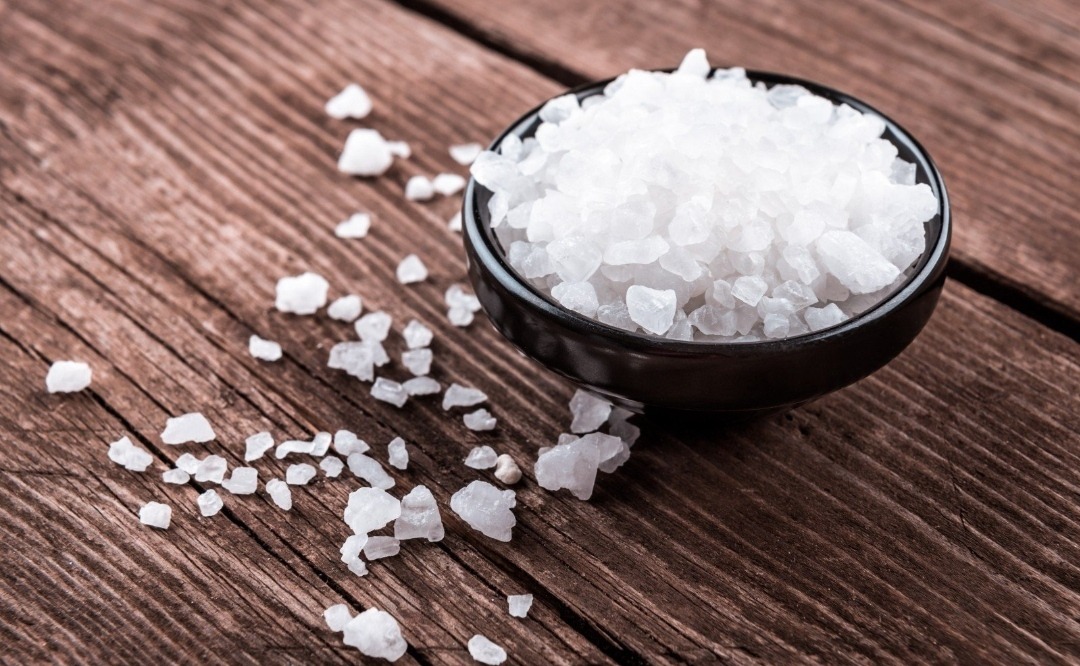 Micronized Salt Market1