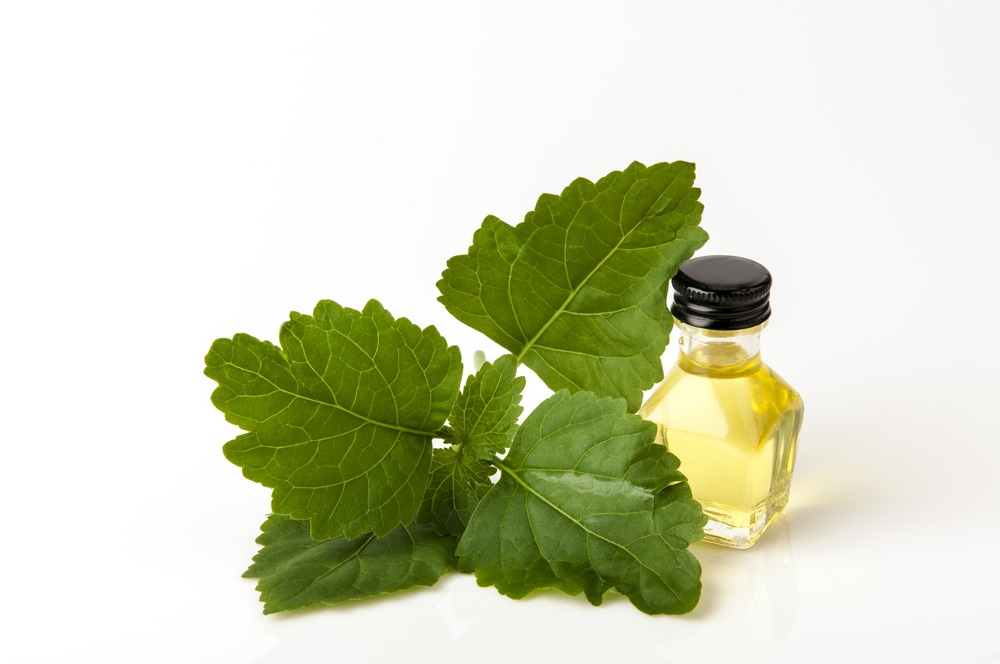 Patchouli Oil Industry