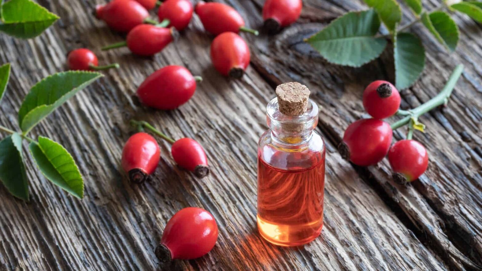 Rosehip Extract Market