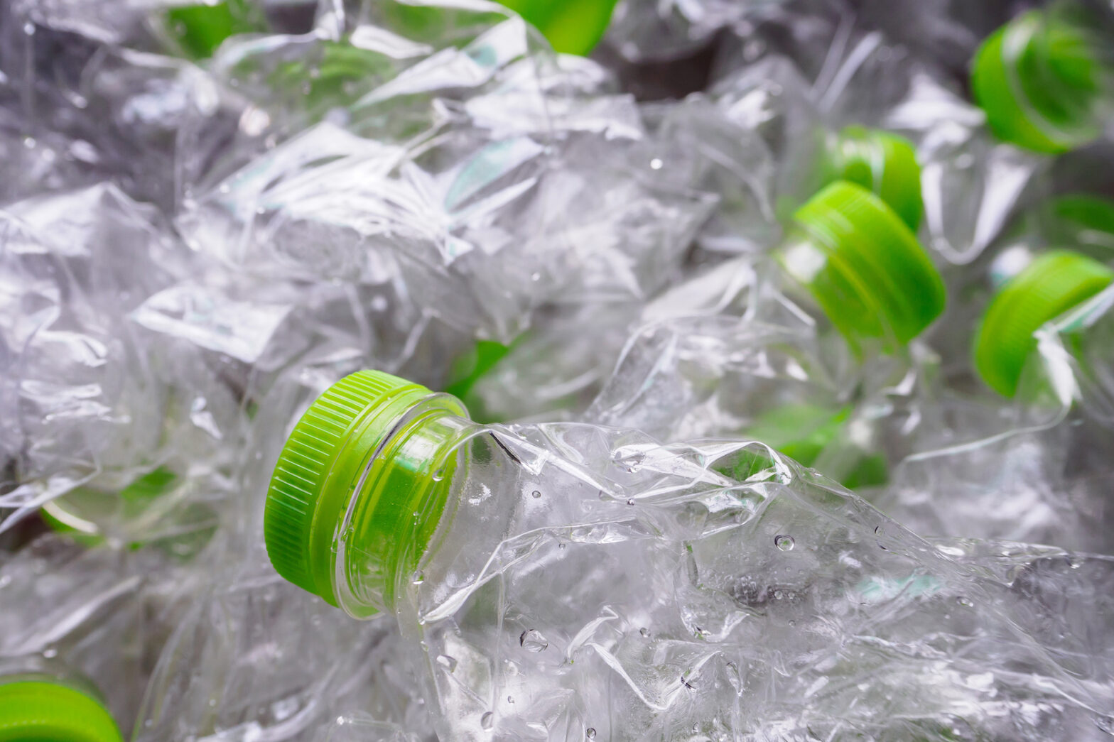 Biobased Biodegradable Plastic Market