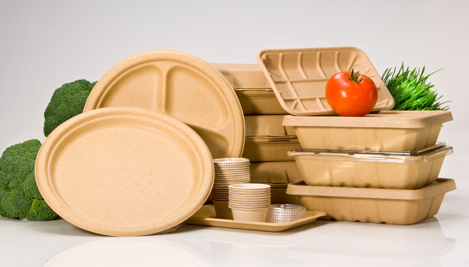 Compostable Plastic Packaging Material Market