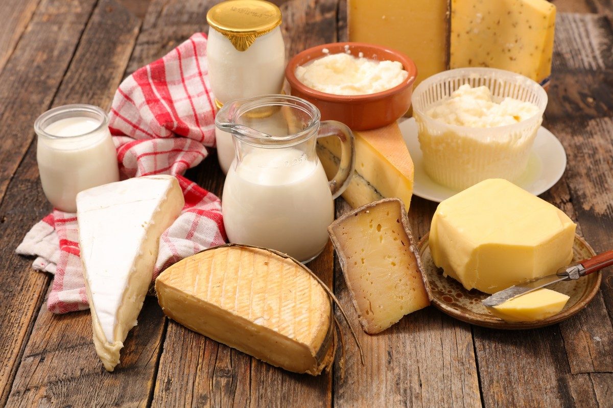 Dairy Products Market