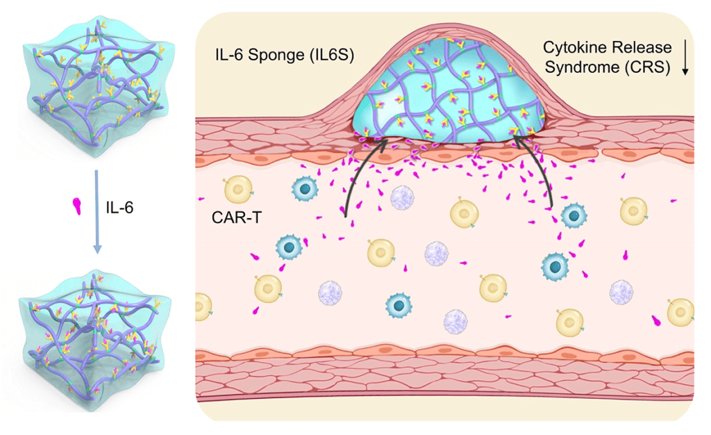 Interleukin-6 (IL-6) Inhibitors Market 