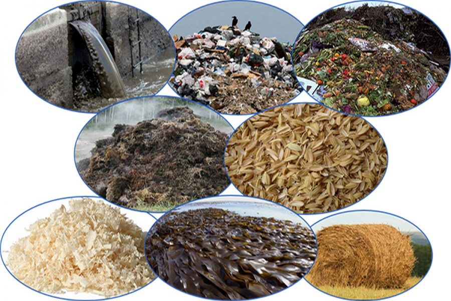 Lignocellulosic Biomass Market