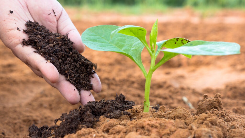 Organic Fertilizer Market