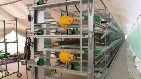 Poultry Keeping Machinery Market