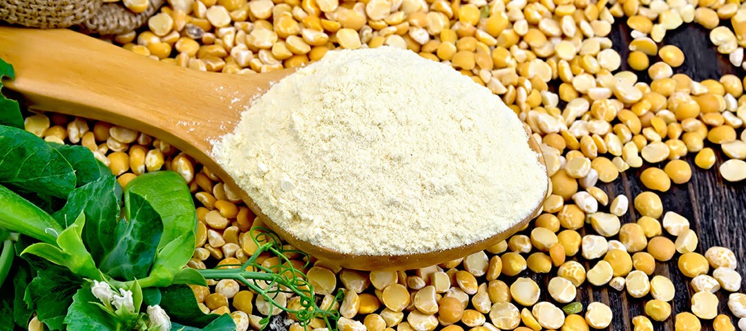 Yellow Pea Protein Market1