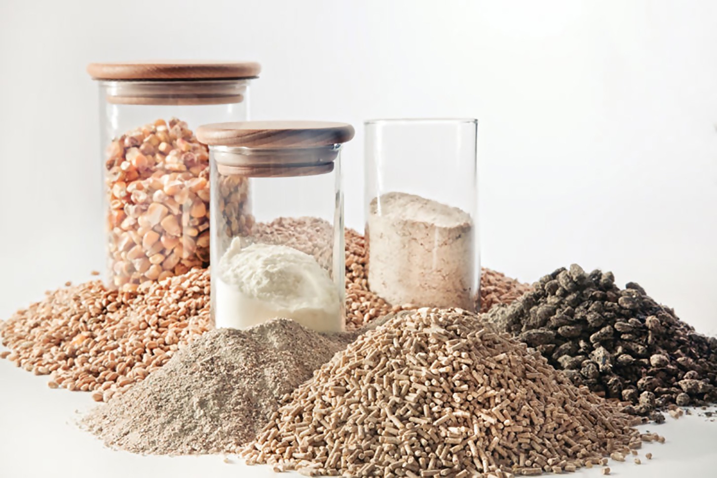 Novel Feed Additives Market