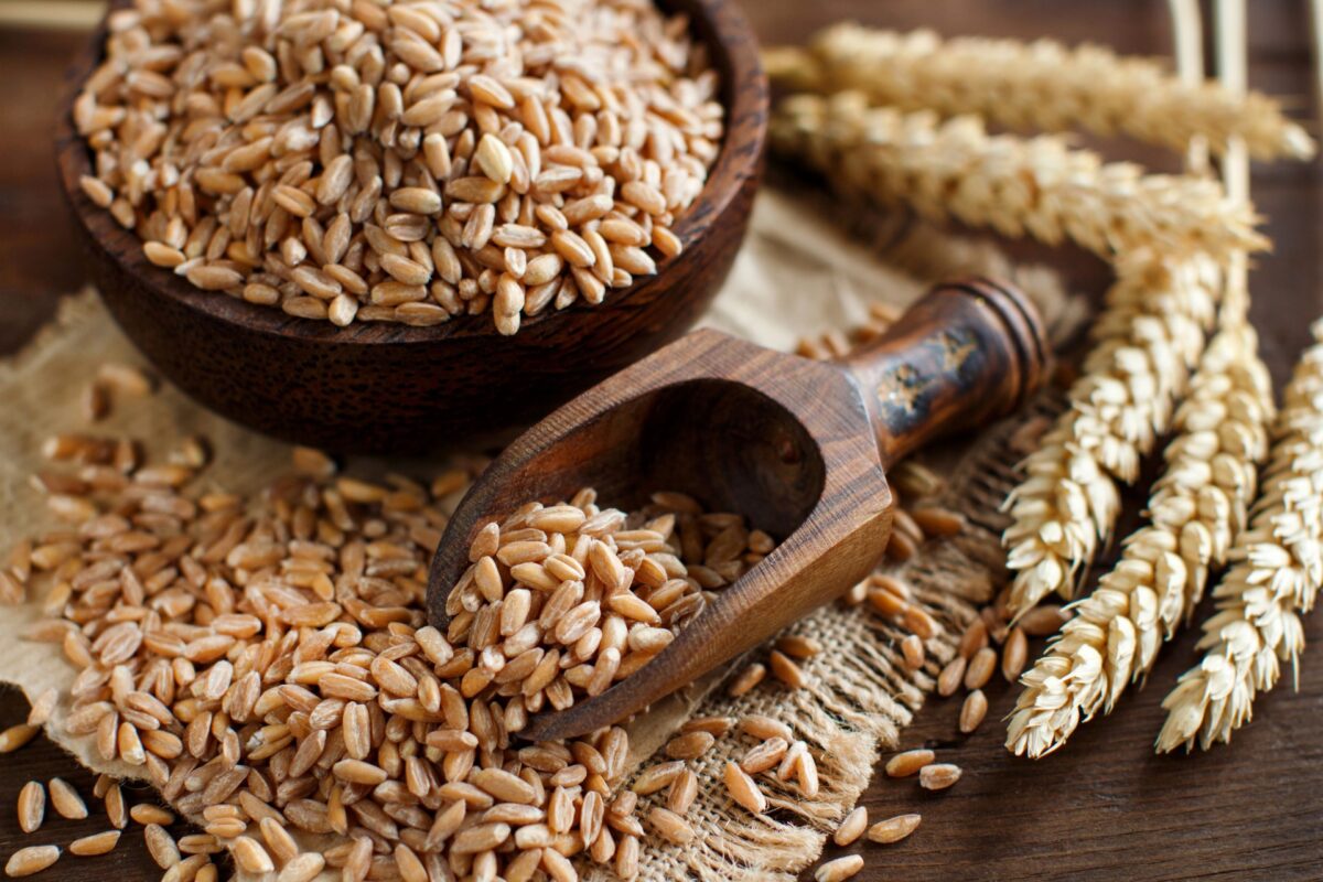 Spelt Wheat Market