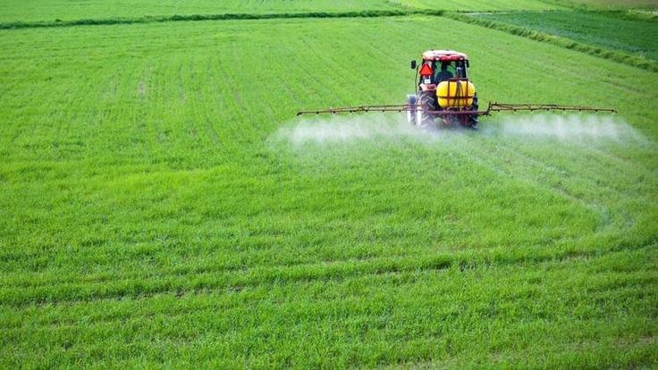 Agricultural Fumigant Market