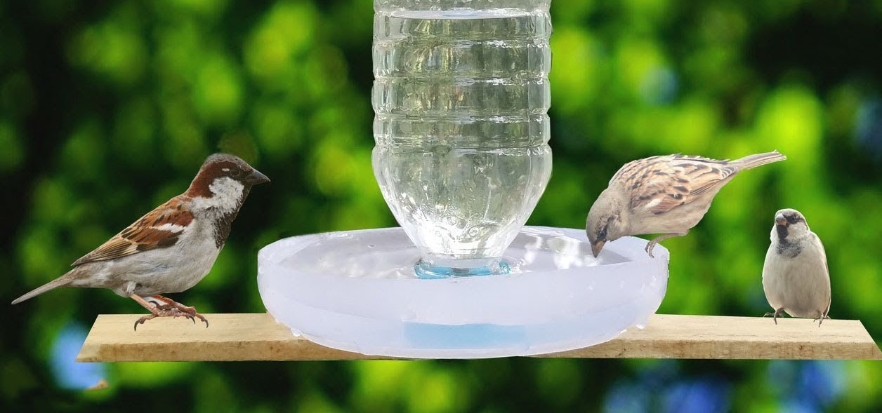 Bird Feeding and Water Suppliers Market