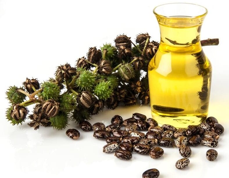 Castor Oil Market 