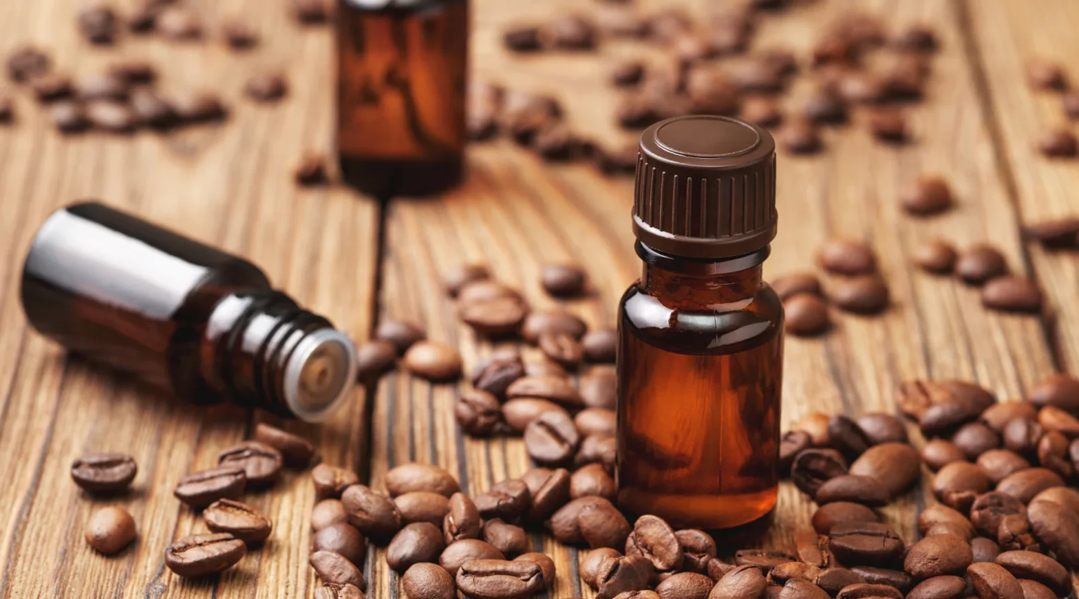 Coffea Arabica (Coffee) Seed Oil Market