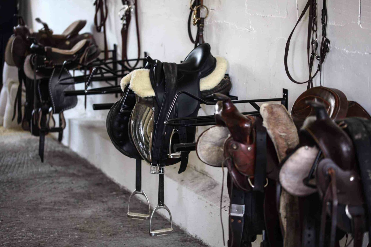 Horse Riding Equipment Market