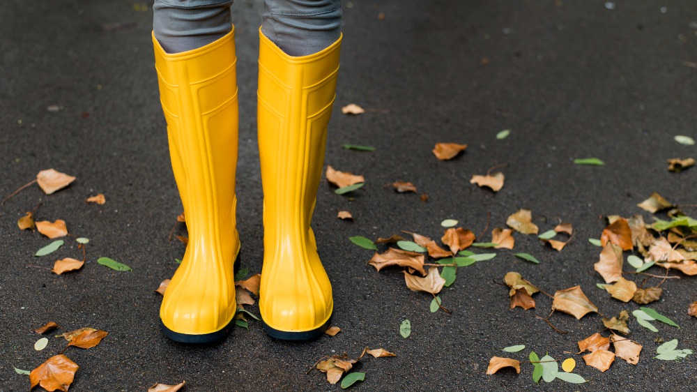 Rain Boots Market