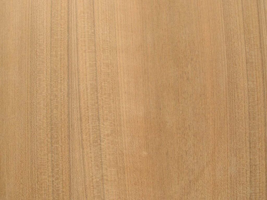 USA and Canada Teak Veneer Sheet Market 