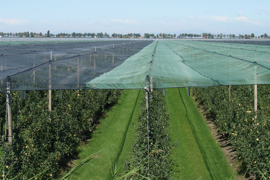 Agriculture Nets Market