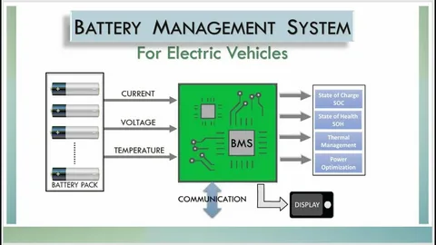 Battery Management System in Japan Market