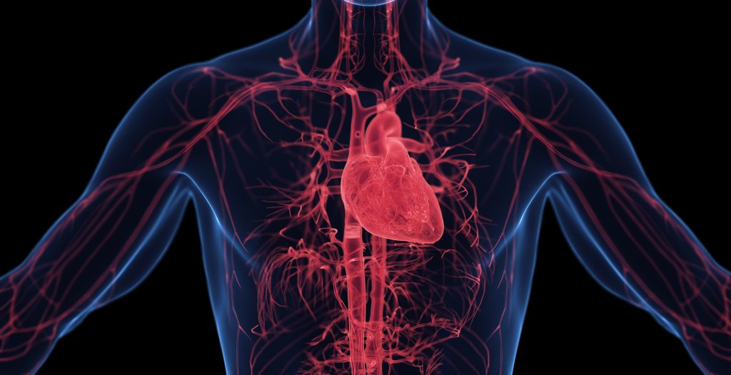 Canine Dilated Cardiomyopathy Drugs Market