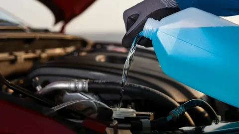 Electric Vehicle Fluid Market