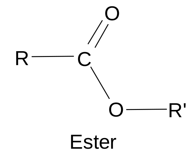 Esters Market 