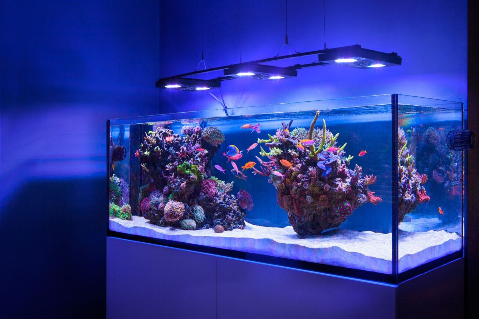 Fish Tank Water Additives Market