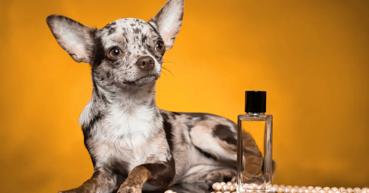 Pet Perfume Market