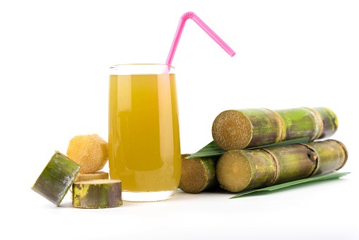 Sugarcane Packaging Market