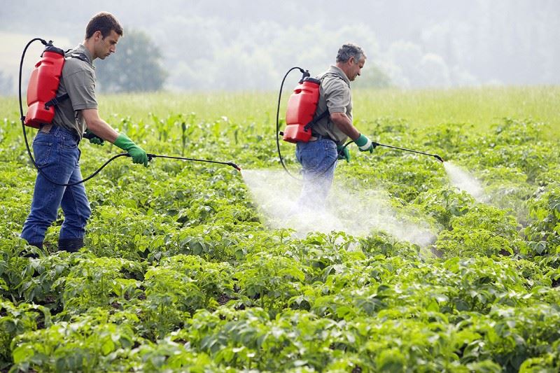 Agri Natural Enemy Pest Control Market