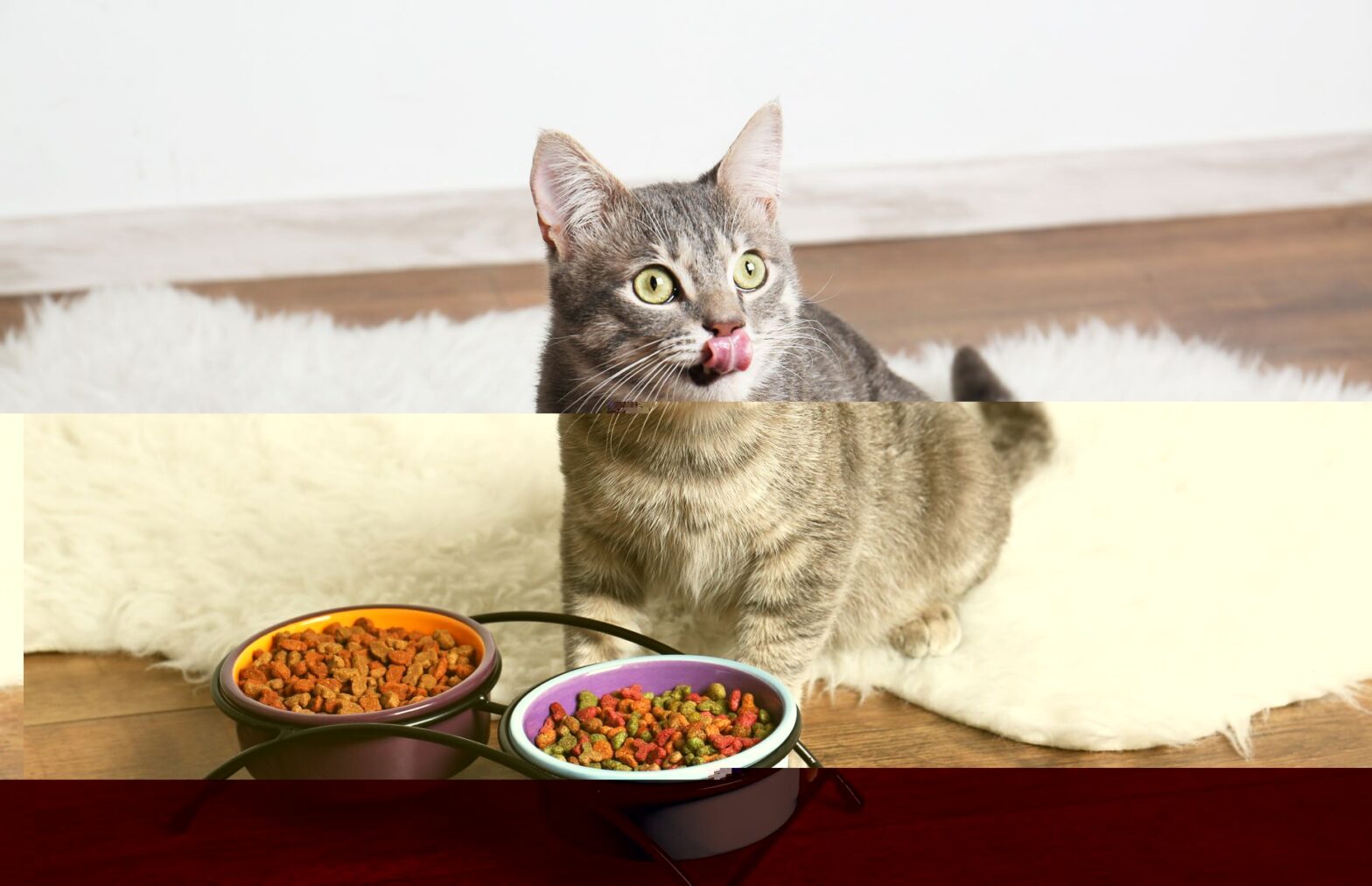 Cat Food Toppers Market