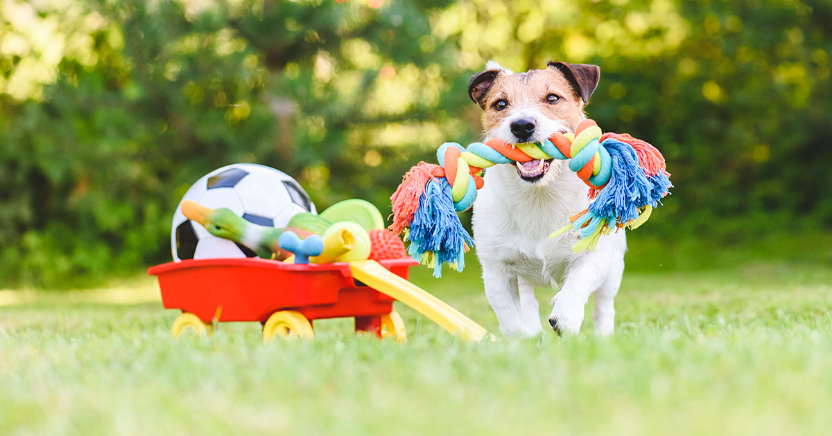 Pet Toys Market