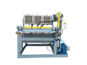 Pulp Molding Machines Market