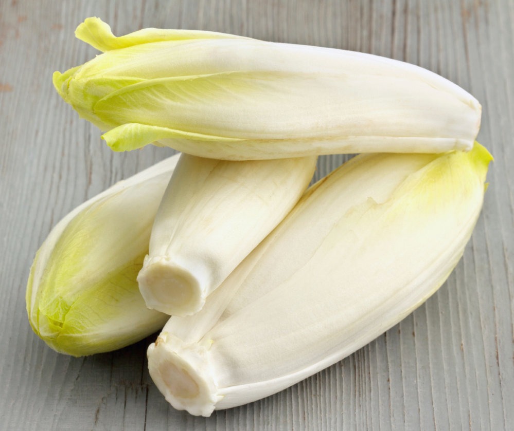  Chicory Market 